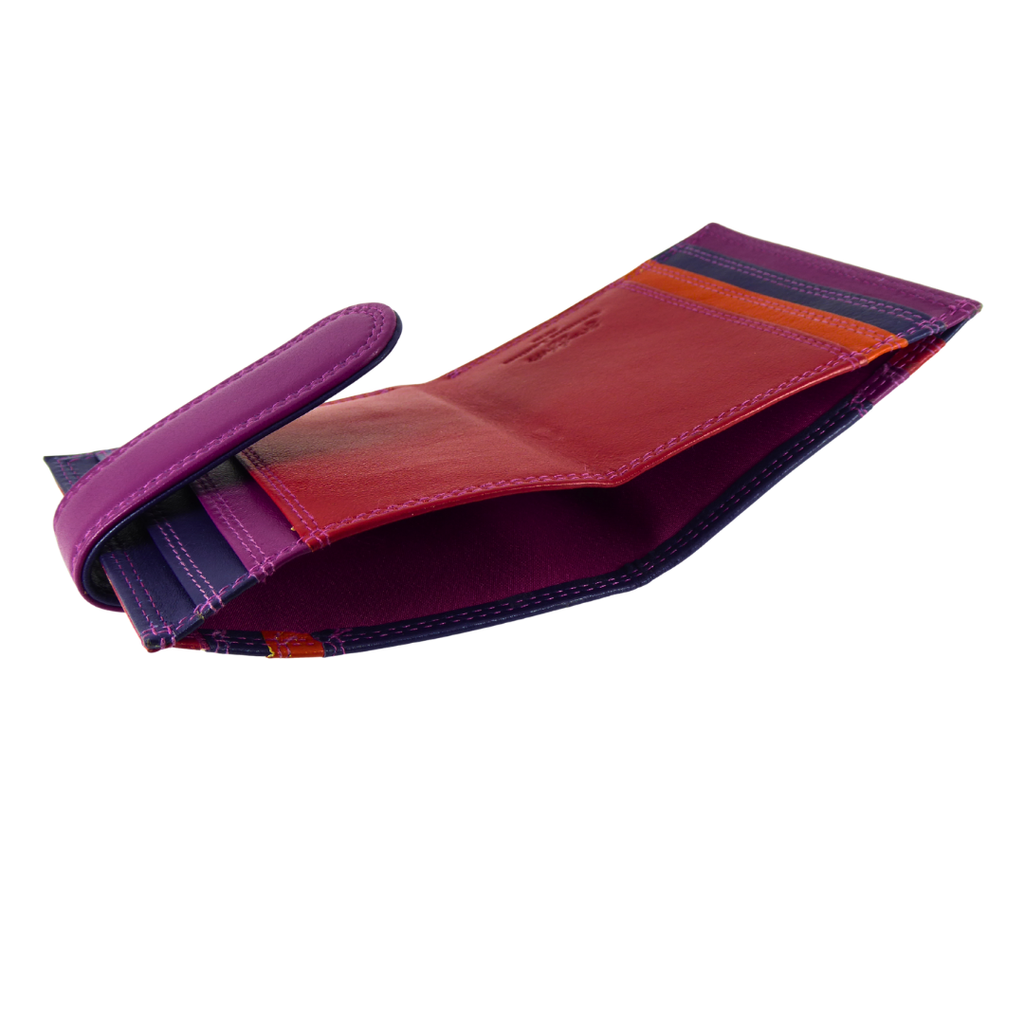 Multicoloured leather card and note holder — closed back view
