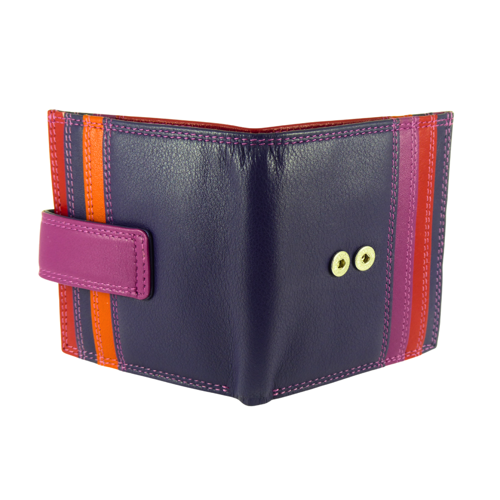 Multicoloured leather card and note holder — open showing card slots